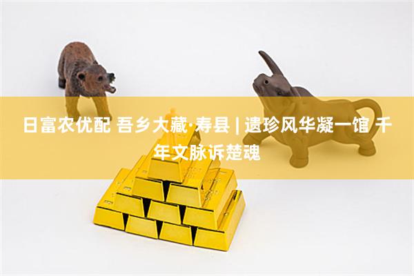 日富农优配 吾乡大藏·寿县 | 遗珍风华凝一馆 千年文脉诉楚魂